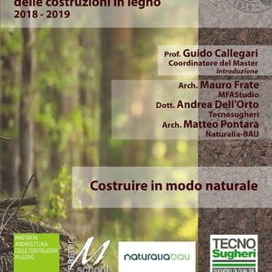 Politecnico di Torino - Master in Architettura delle costruzioni in legno 2018-2019